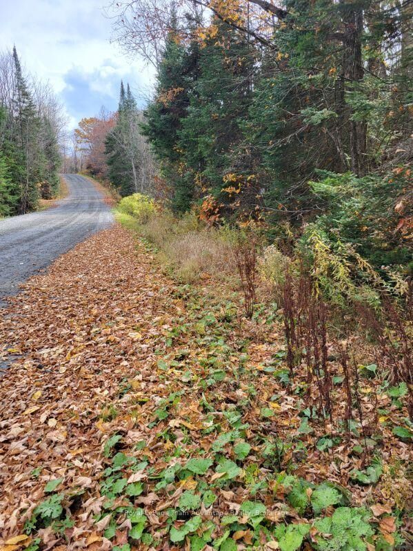 Property Photo:  0 Haines Lake Road  ON P2A 0B3 