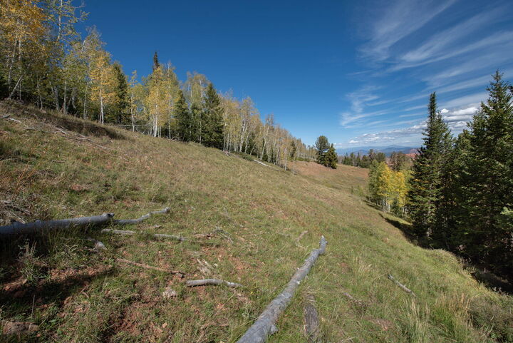 Property Photo: 1430 N Aspen Dr UT 84719