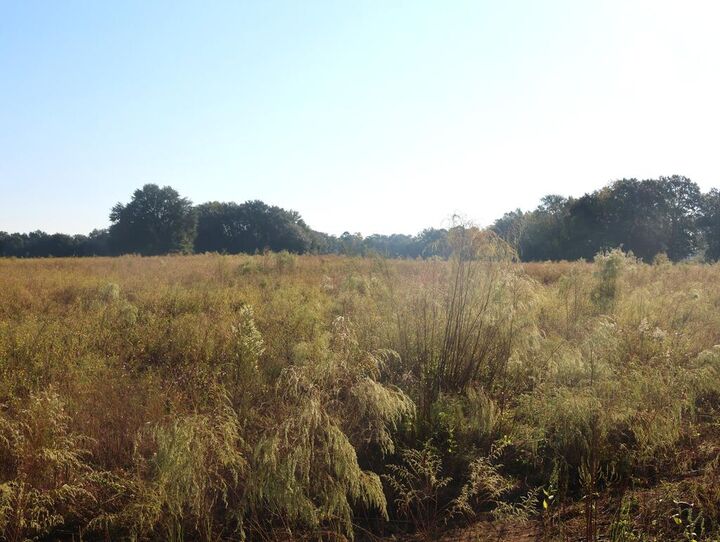 Property Photo: 841 County Road GA 39870
