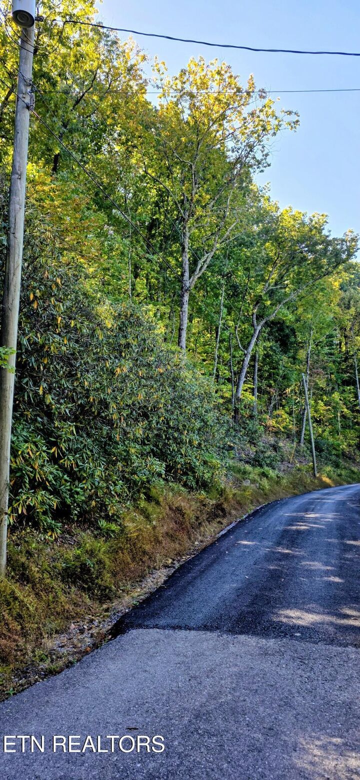 Property Photo:  Lot 13 Overholt Tr  TN 37862 