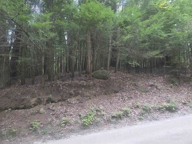 Property Photo: Map 09 Lot 30 Gould Pond Road NH 03244