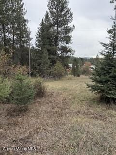 Property Photo:  Nna S Last Chance Rd  ID 83814 