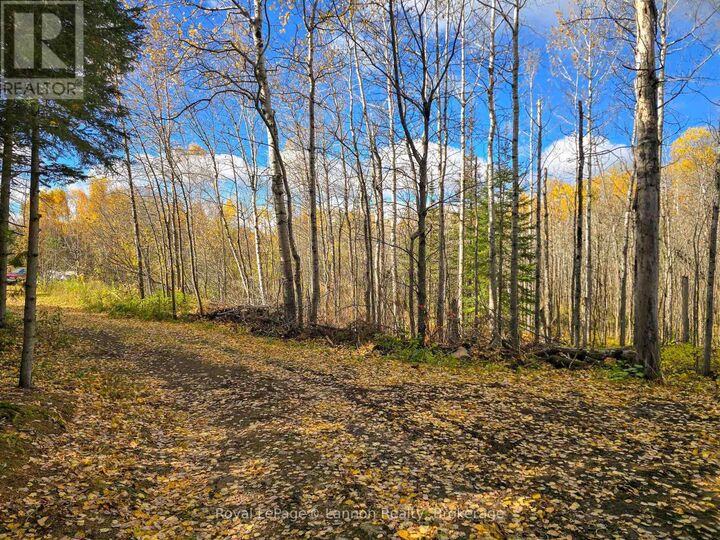 Property Photo:  295 Beckwick Road  ON P7G 1K7 