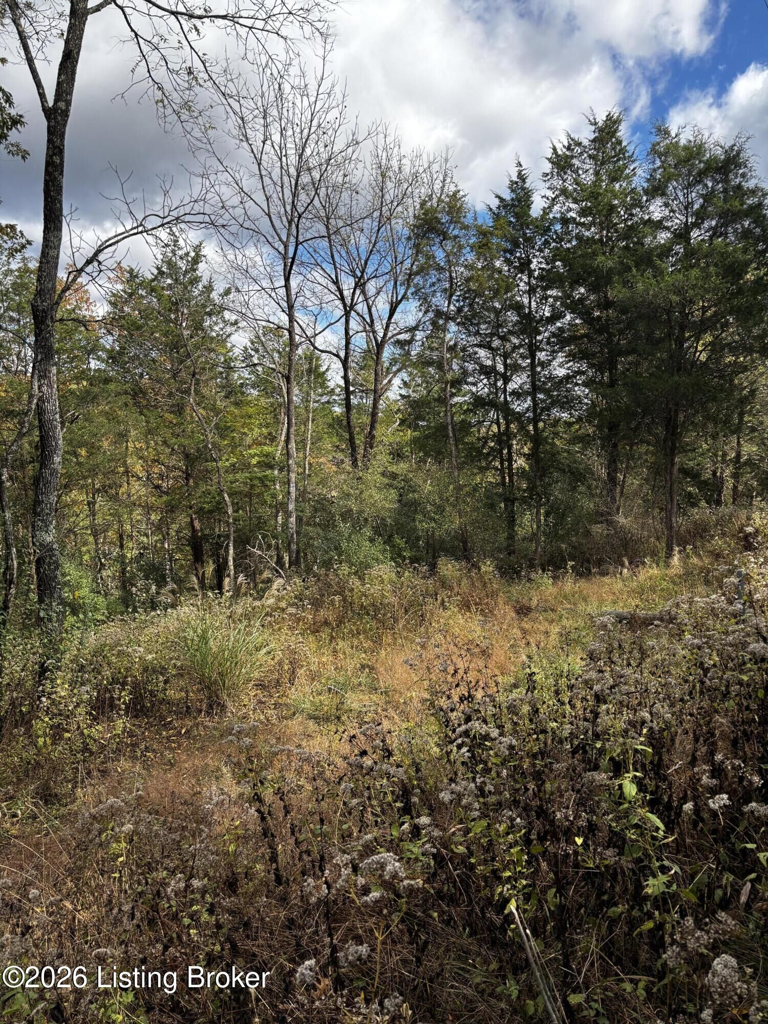 Property Photo: Lot 247A Tim Tam Rd KY 40003
