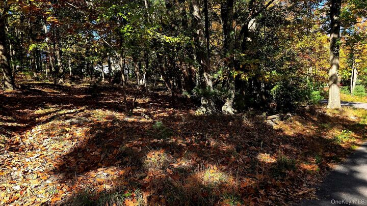 Property Photo:  Chestnut Street W  NY 12790 