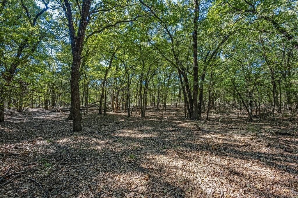 Property Photo:  Td Pearce Street  TX 76233 