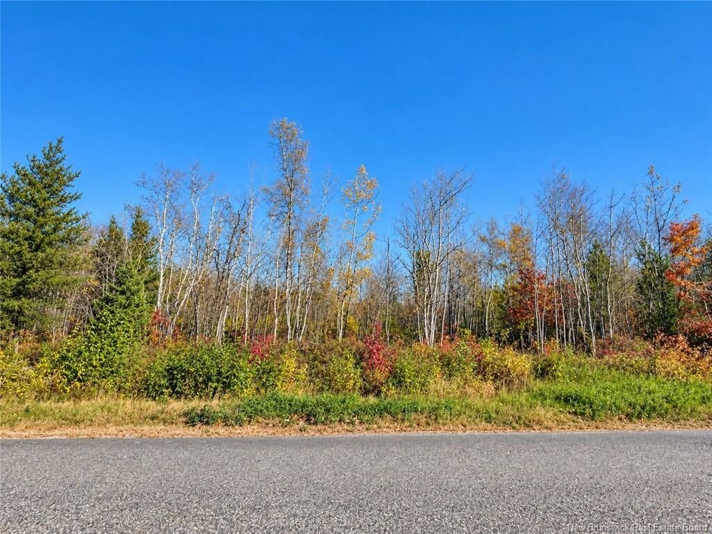 Property Photo:  / Rue Omer  NB E1X 3X1 