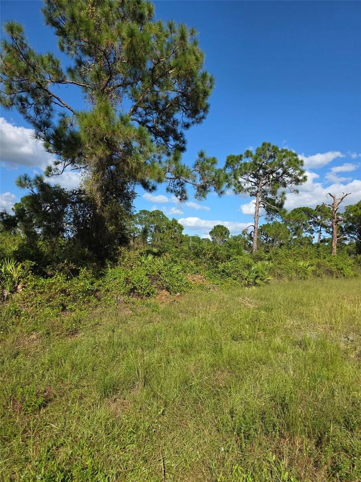 Property Photo: 1115 Jaguar Boulevard FL 33974