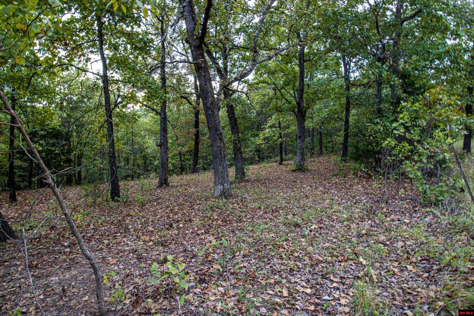Property Photo:  337 Cr 1419  AR 72653 
