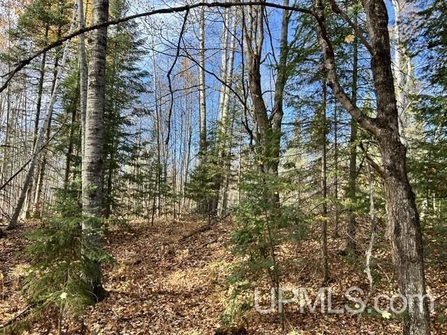 Property Photo:  Parcel 4 Crooked Road  MI 49916 