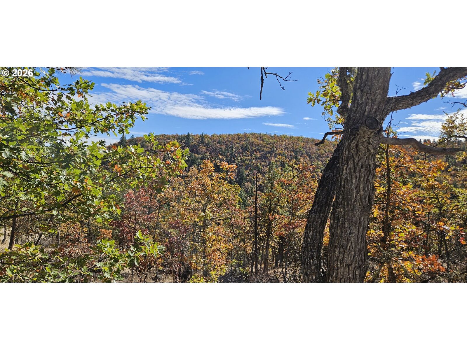Property Photo:  Ridgetop Rd N  OR 97021 