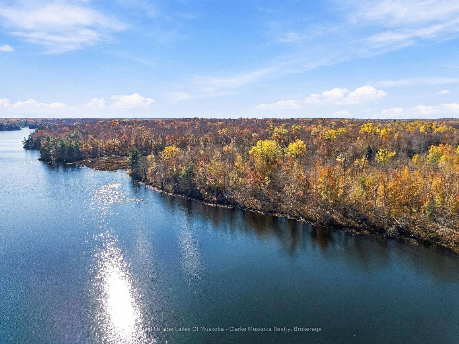 Property Photo:  4805 Muskoka 169 Road Lot 2  ON P0B 1J0 