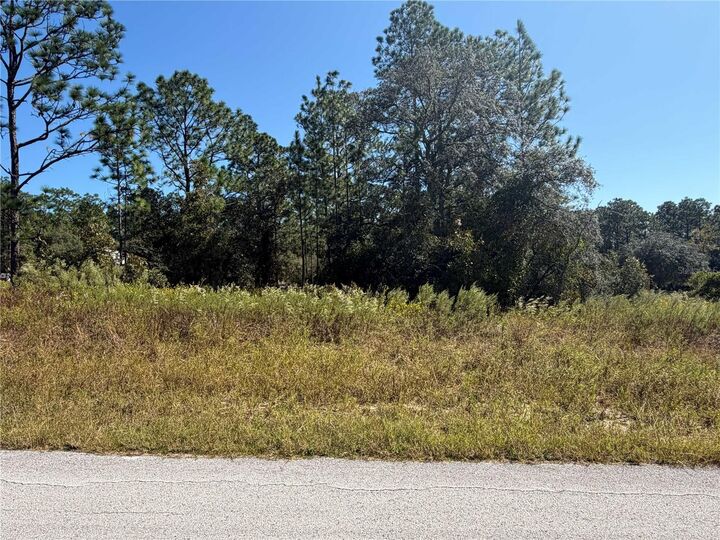 Property Photo: Lot 42 SW Azalea Court FL 34431
