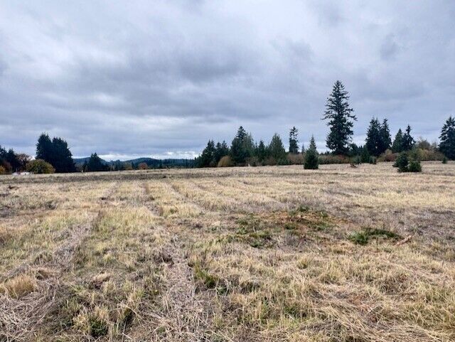Property Photo: 0 Tennessee Road Lot 4 WA 98596