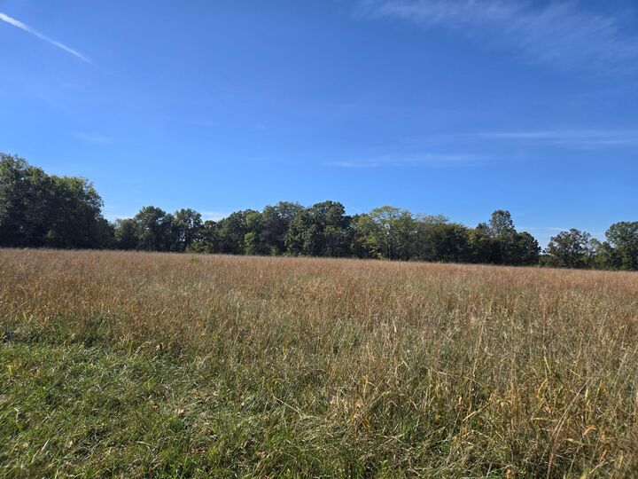 Property Photo:  19832 Cpunty Road 64  MO 65779 