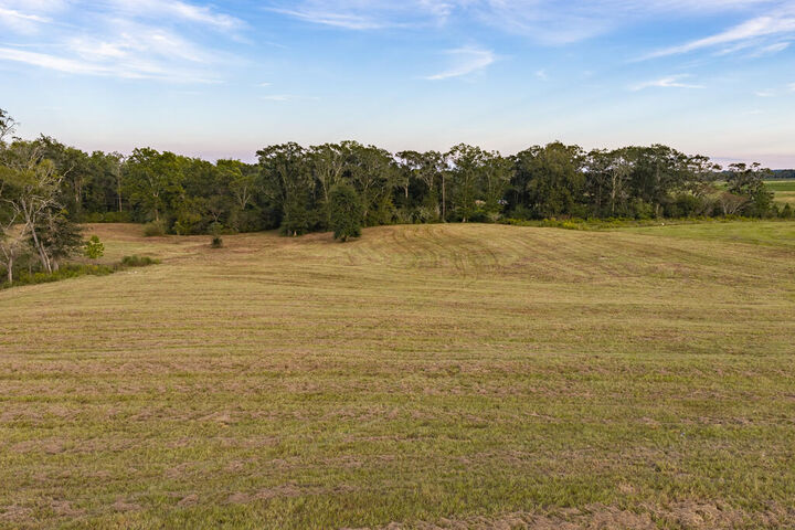 Property Photo:  13.71+/- County Road 625  AL 36318 
