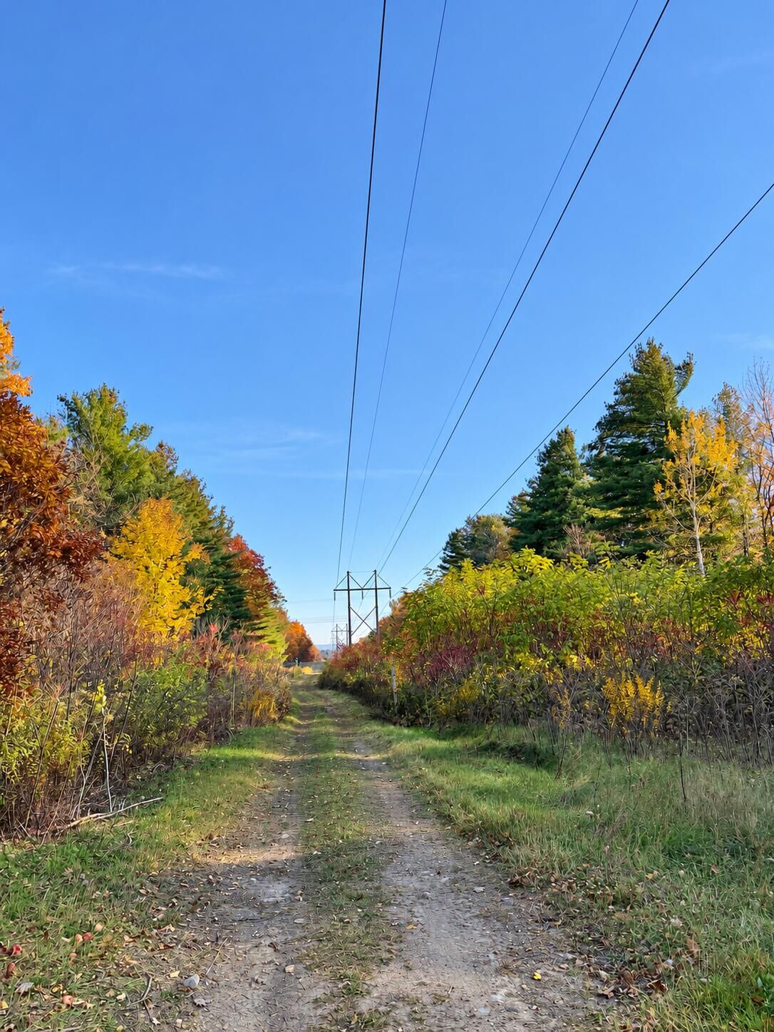 Property Photo:  0 Seymour Road  NY 12992 