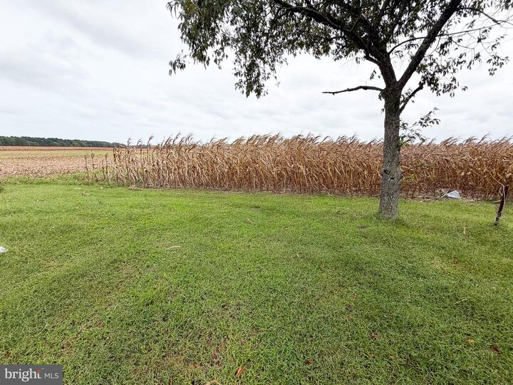 Property Photo:  24363 Hollyville Road  DE 19966 