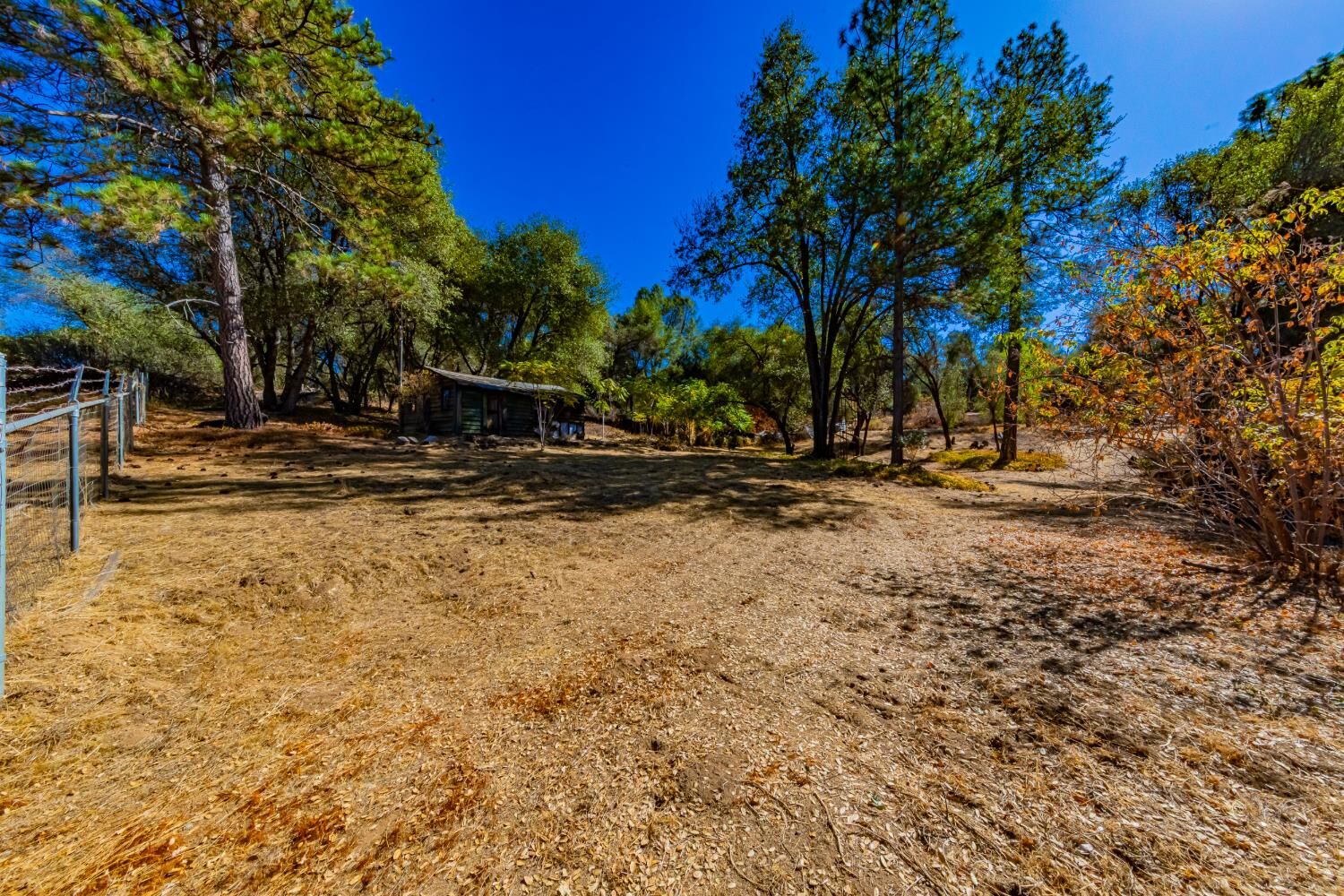 Property Photo: 1 Daisy Lane CA 93644