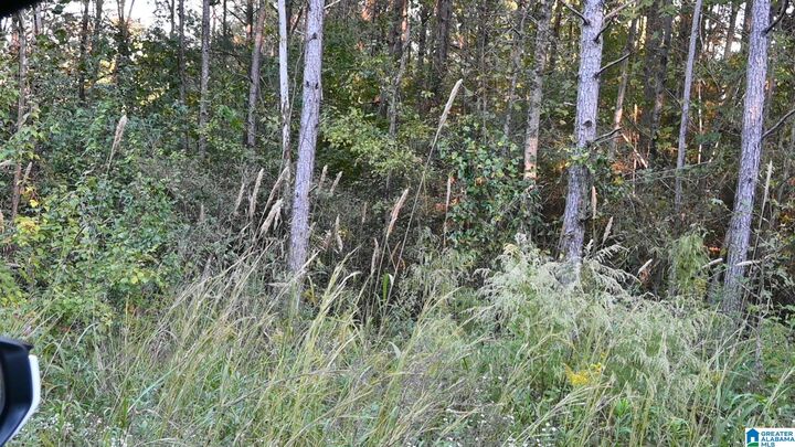 Property Photo:  0 Willowbrook Court Lot 21  AL 35049 