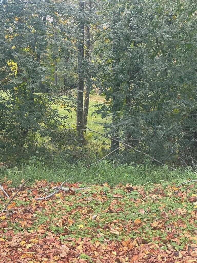 Property Photo: Lot 122 Friar Court NC 28659