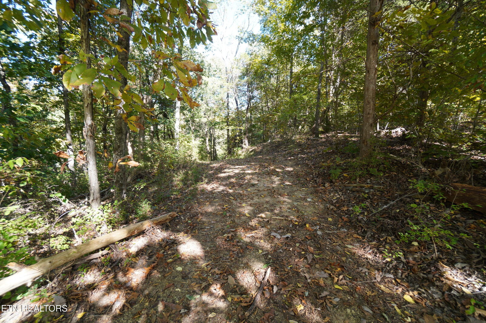Property Photo: Brotherton Rd TN 37760