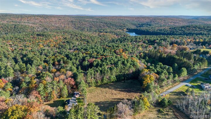 Property Photo:  Lot 22.1 Crawford Road  NY 12792 