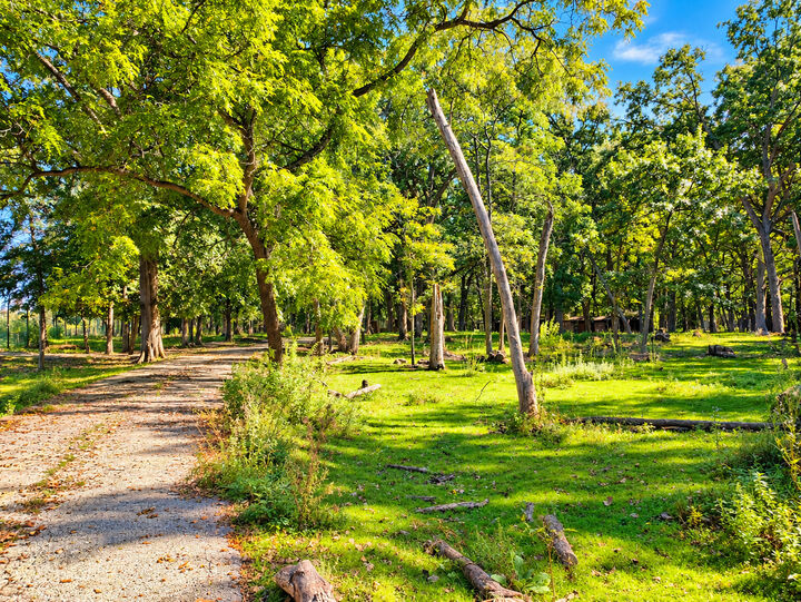 Property Photo:  16115 W Russell Road  IL 60083 