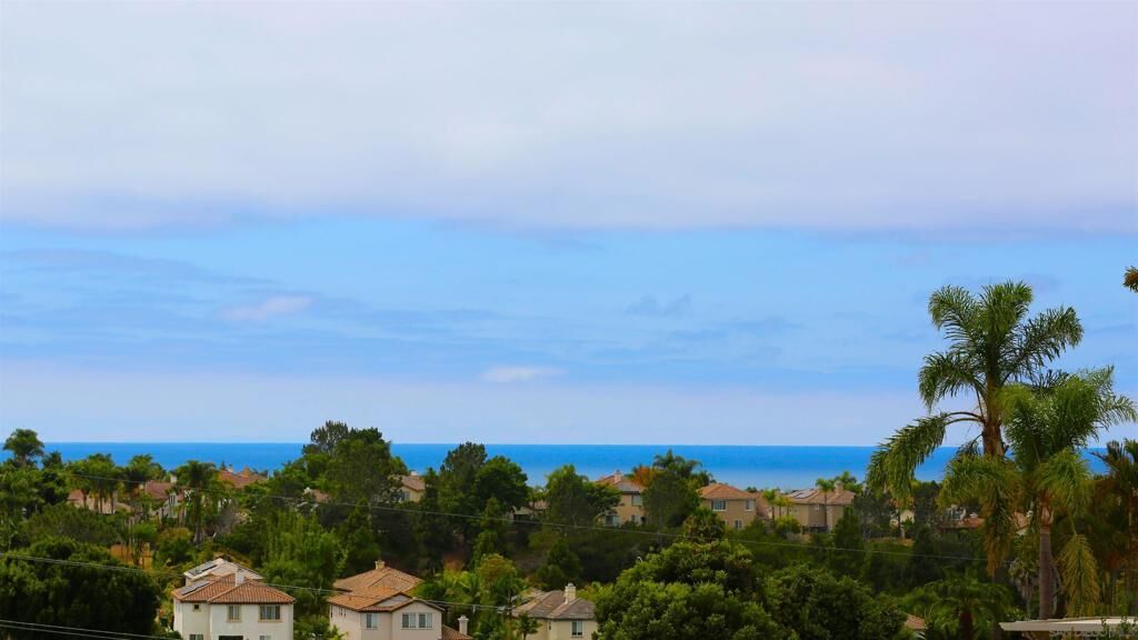 Property Photo:  1469 Turquoise Drive  CA 92011 