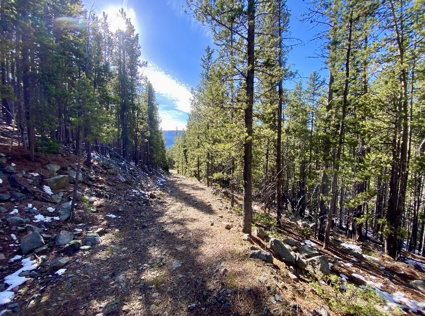 Property Photo:  Nnn Section 28  MT 59465 