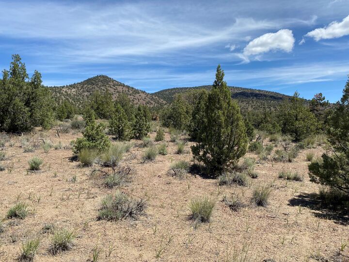 Property Photo: SW Spirit Rock Drive Homesite 721 OR 97753