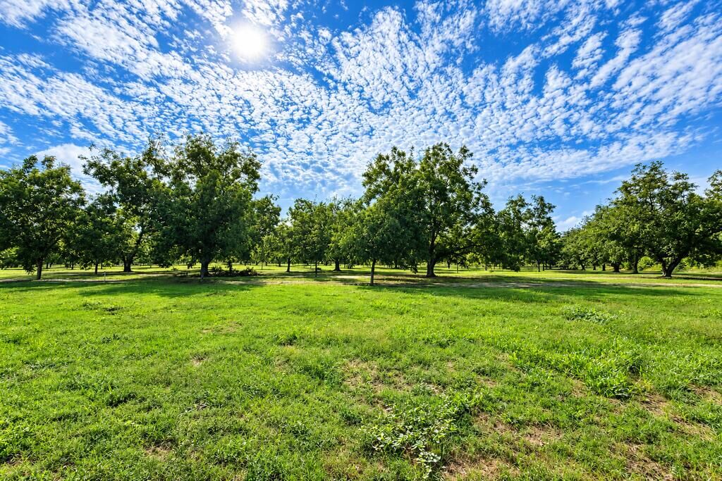 Property Photo:  907 Marianna Highway  GA 39845 