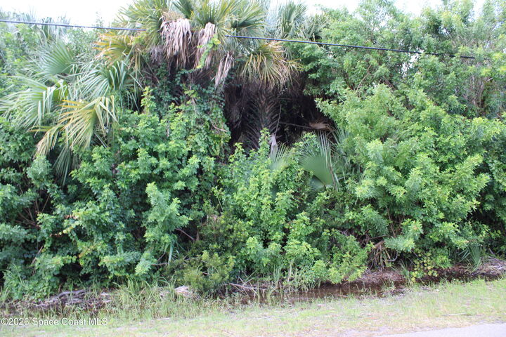 Property Photo: 3138 Framingham Avenue SW FL 32908