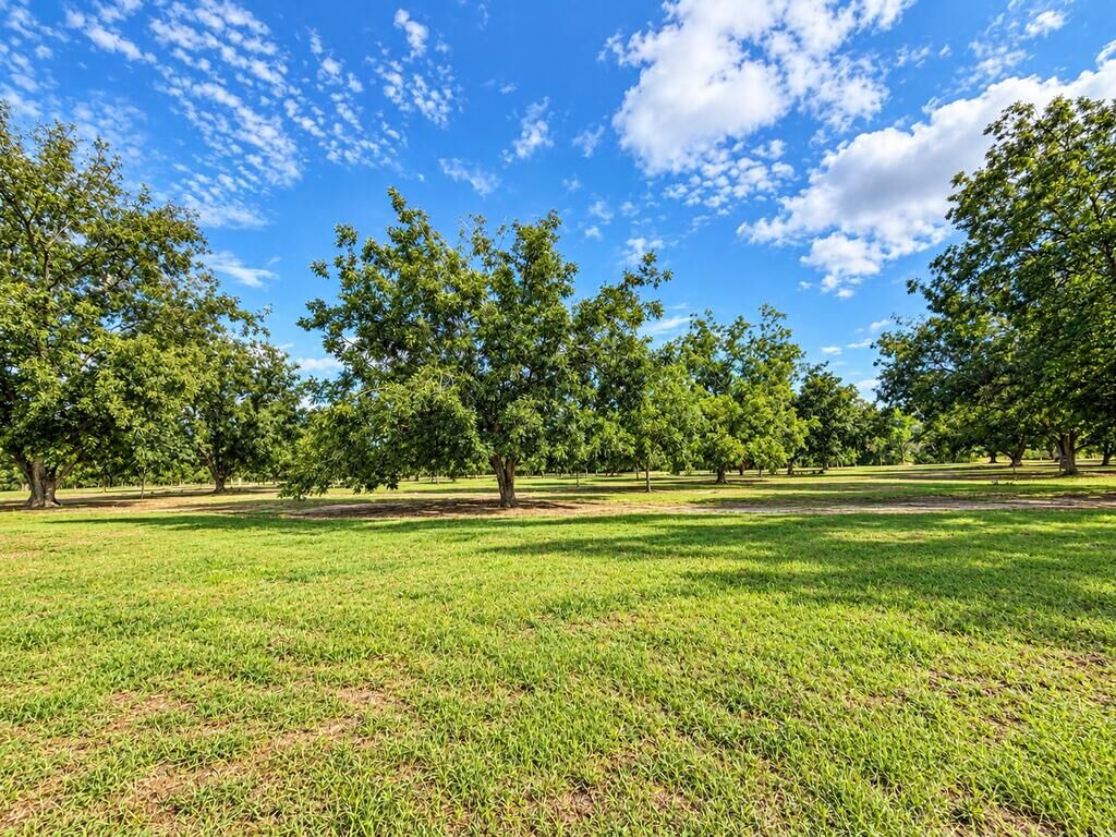 Property Photo: 907 Marianna Highway GA 39845