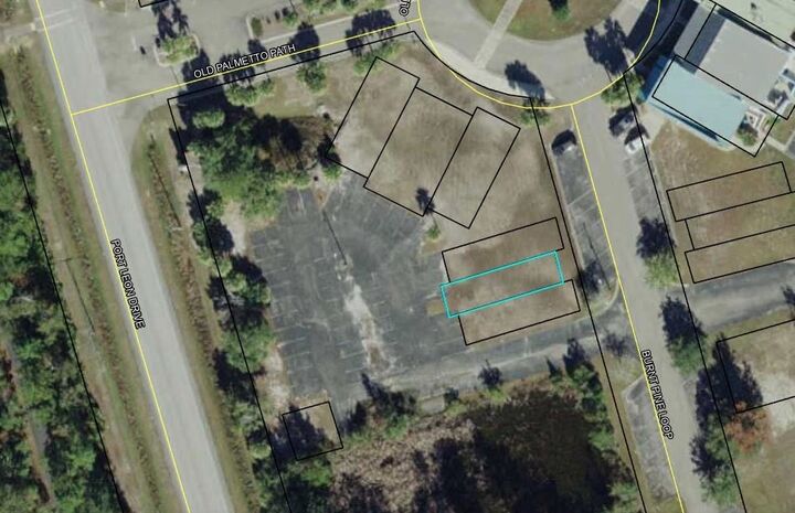 Property Photo: Lot O Burnt Pine Loop FL 32355