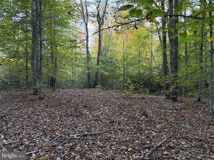 Property Photo: 0 Watson Road VA 22433