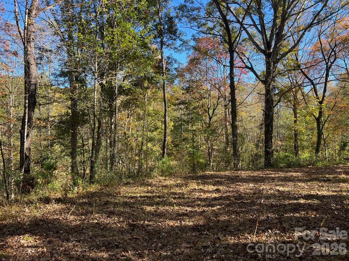 Property Photo:  0 Pea Patch Lane 4  NC 28655 
