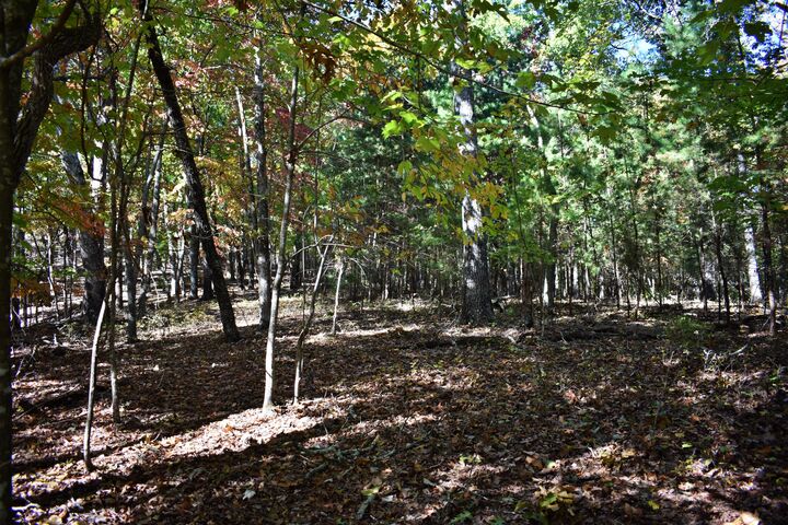 Property Photo: 0 Lake Forest Drive TN 37381