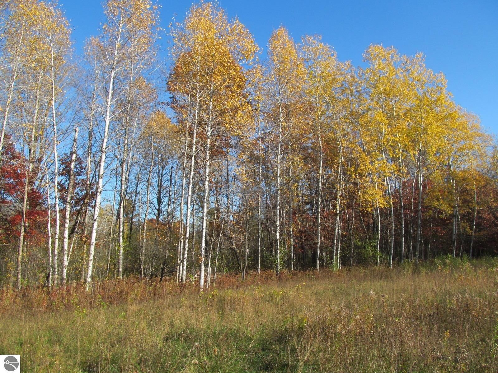 Property Photo: 10189 W Forest Road MI 49665