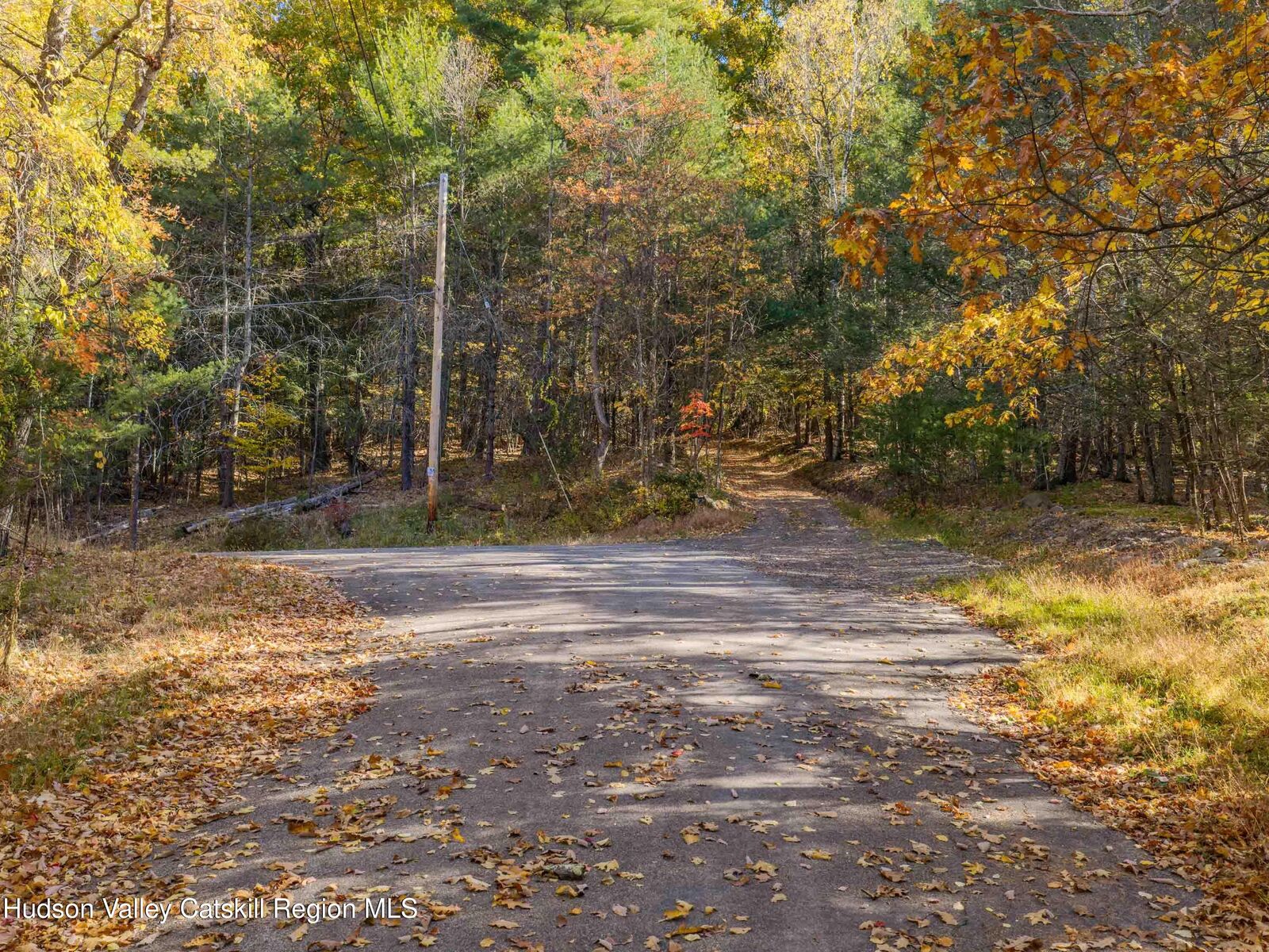 Property Photo:  0 Carle  NY 12457 