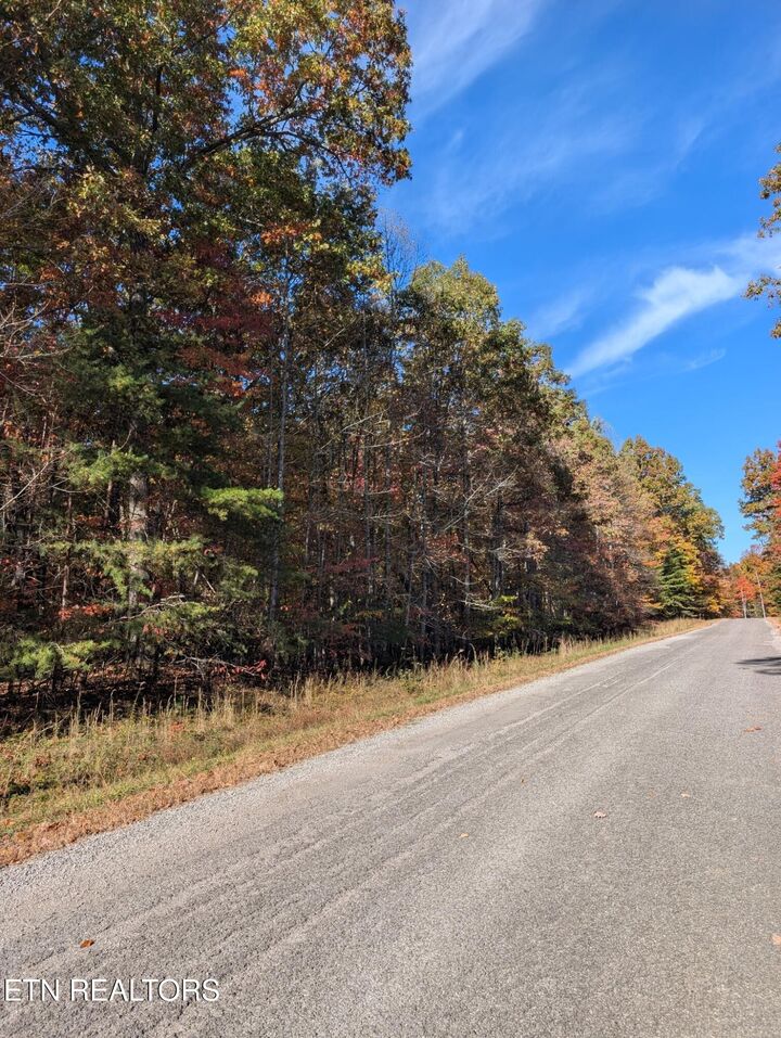 Property Photo:  Tanner Drive - Lot 6  TN 38574 