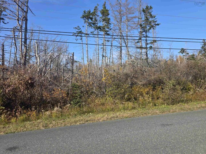 Property Photo:  Hillside Road  NS B1K 3J5 