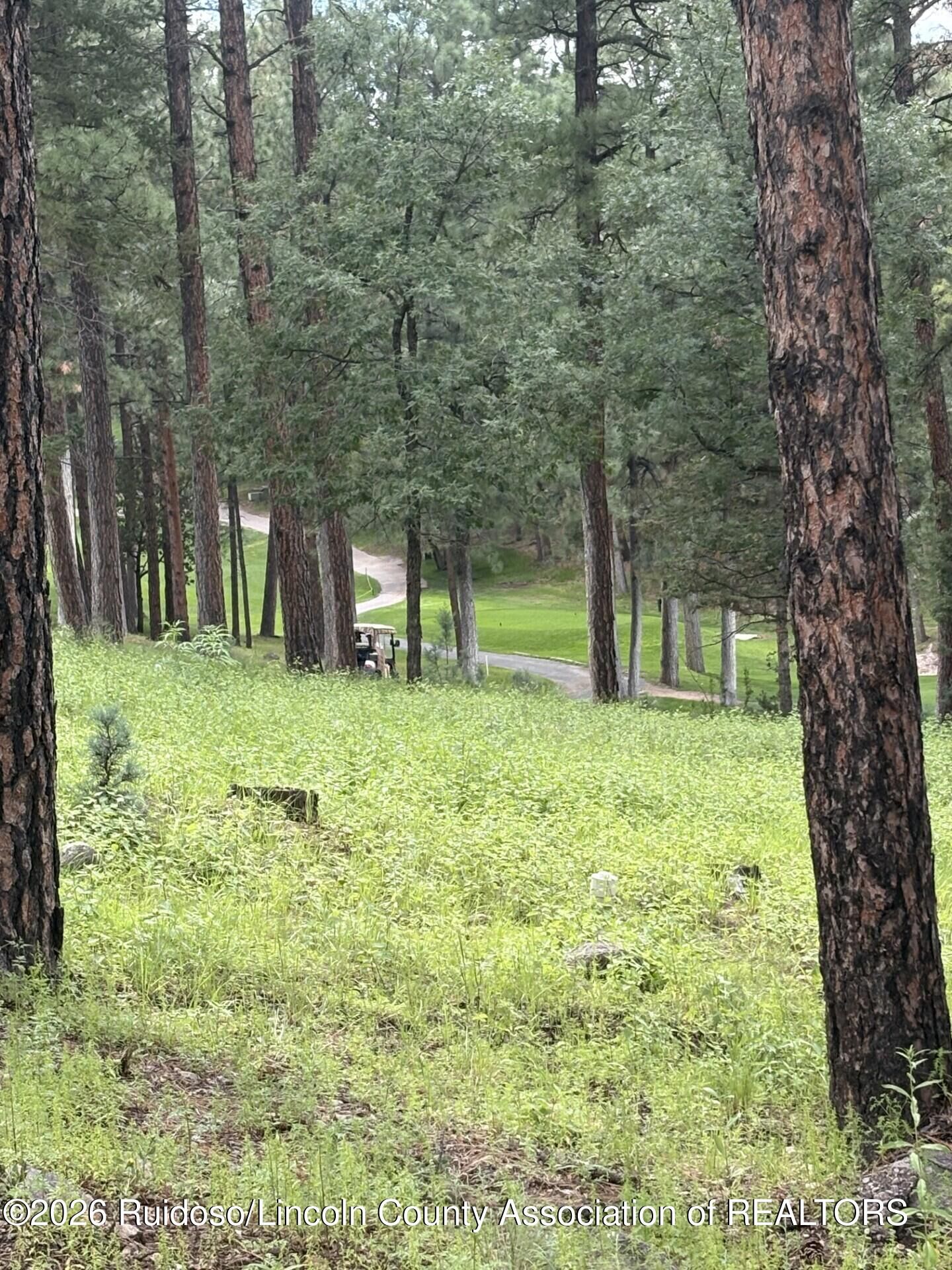 Property Photo:  Lot 2 Incredible Lane  NM 88312 