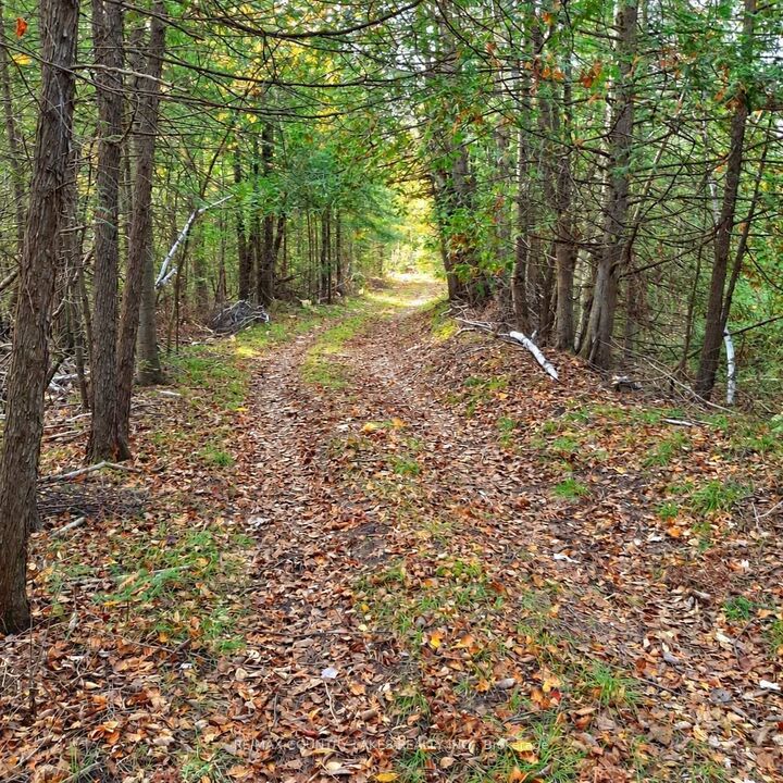 Property Photo:  Lot 13 Hartley Rd Road  ON K0M 2T0 