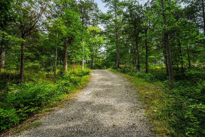 Property Photo:  169 Old River Road  ON K0E 1R0 