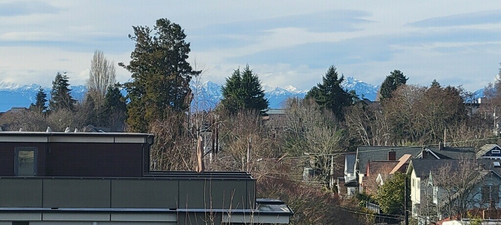 Property Photo: Rooftop View Deck 2419 NW 63rd Street  WA 98107 
