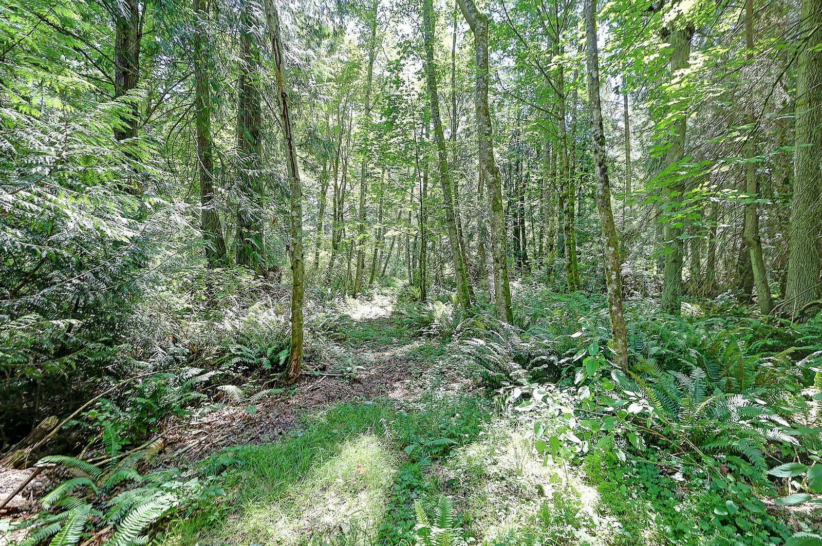 Property Photo: 100 W Mountain View Rd WA 98282