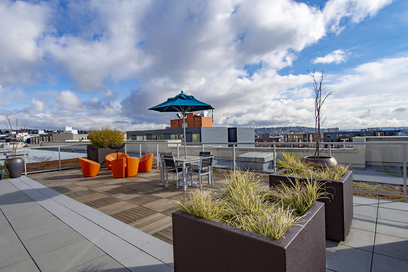 Property Photo: Roof Top Deck 1760 NW 56th St 202  WA 98107 