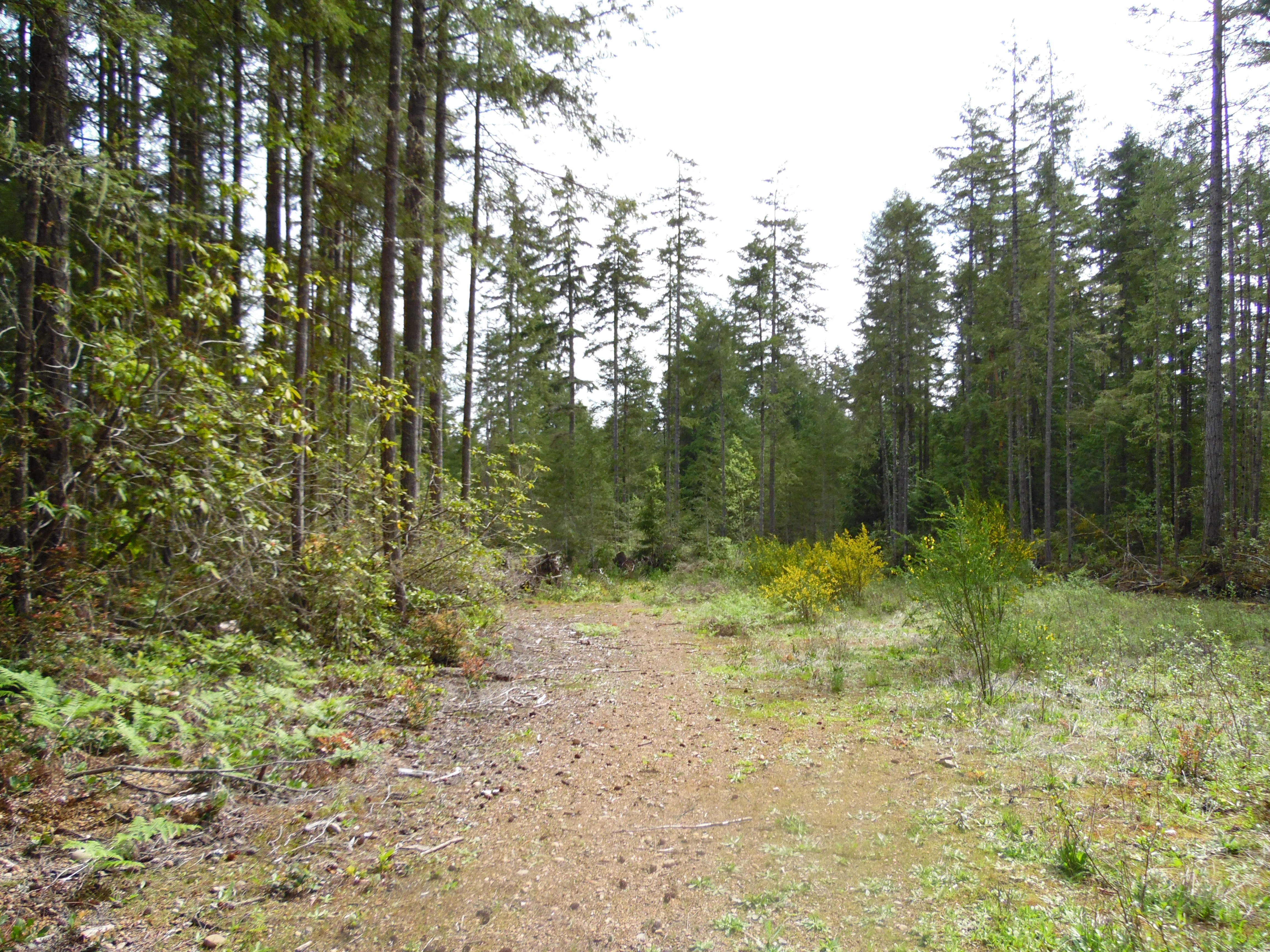 Property Photo:  11950 Willamette Meridian Rd NW  WA 98383 