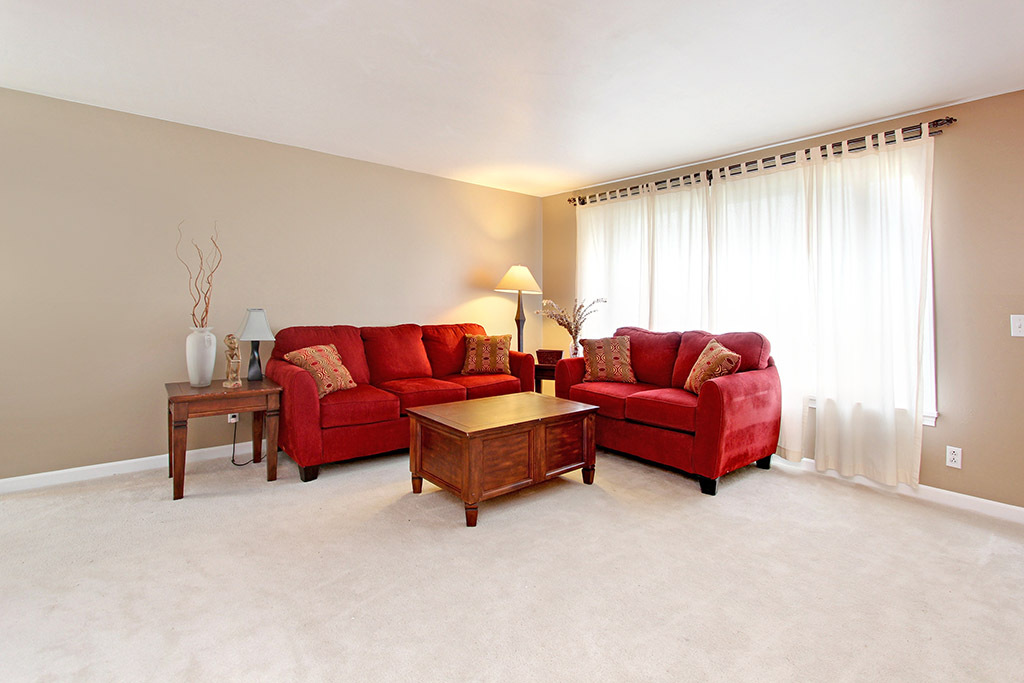 Property Photo: Living room 6117 W Magnolia Avenue WA 98203